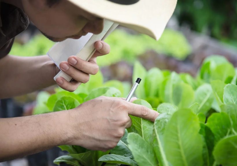 Unlocking Career Opportunities in Modern Agriculture for the Youth